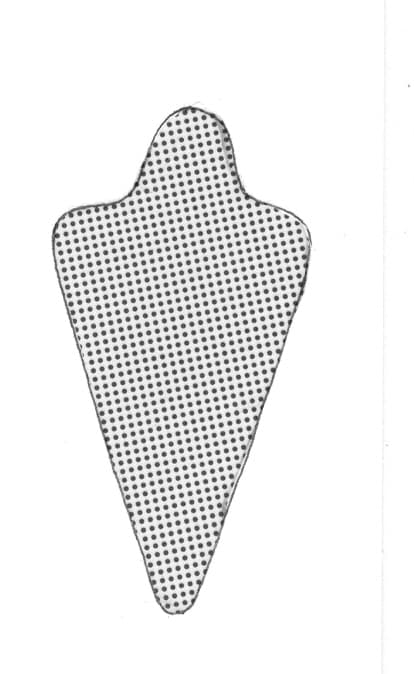 Blotchy Anthias in a marine aquarium