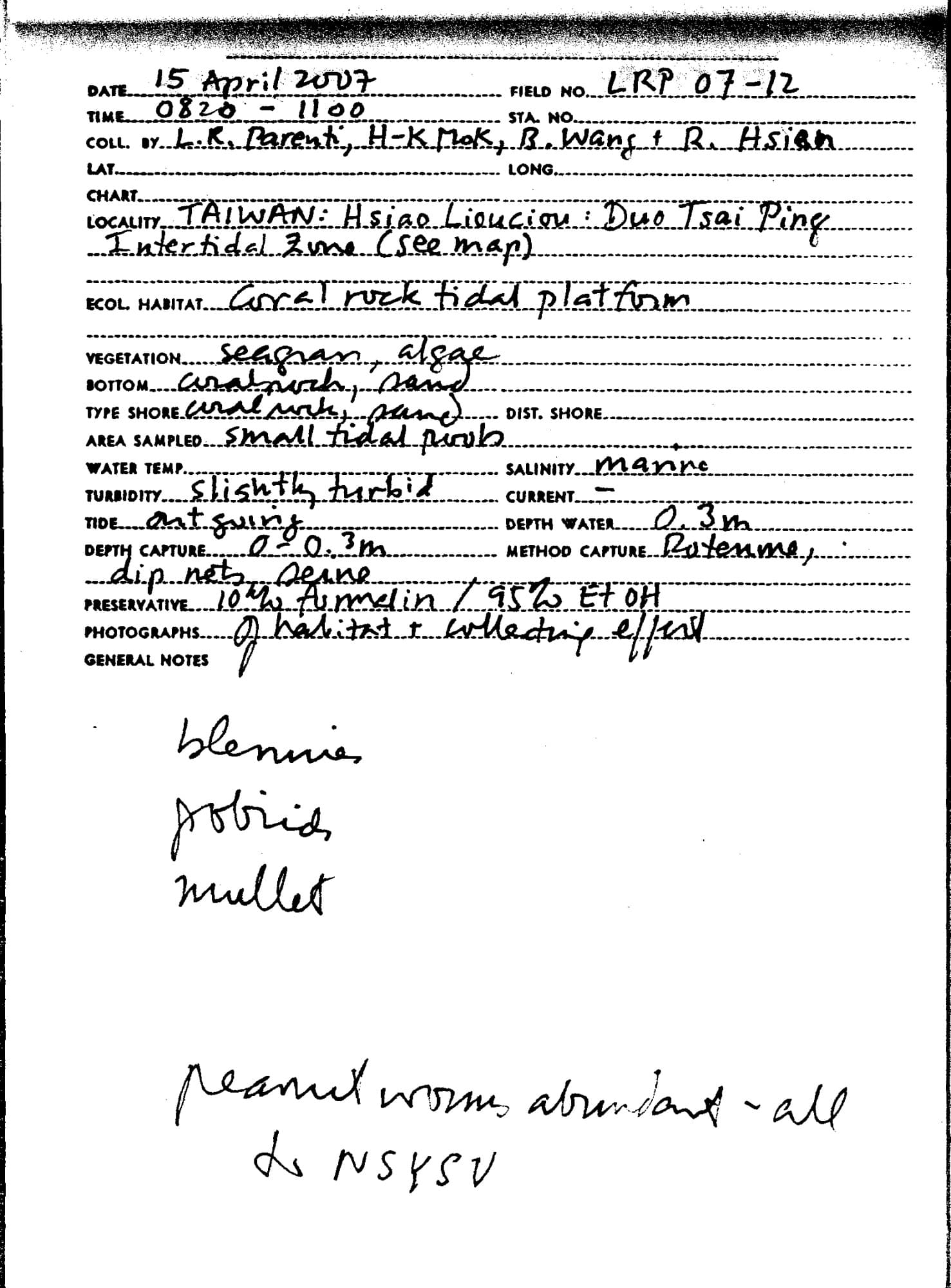 Fowleria Cardinalfish in a marine aquarium