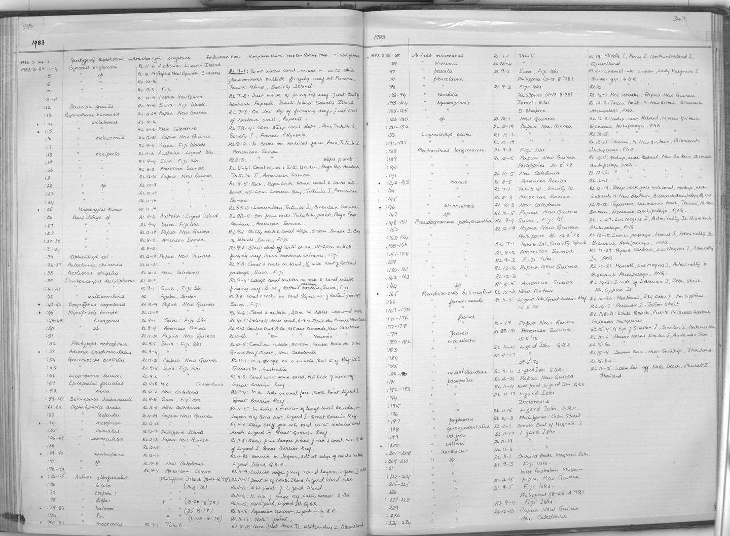 Hutomo's Anthias in a marine aquarium