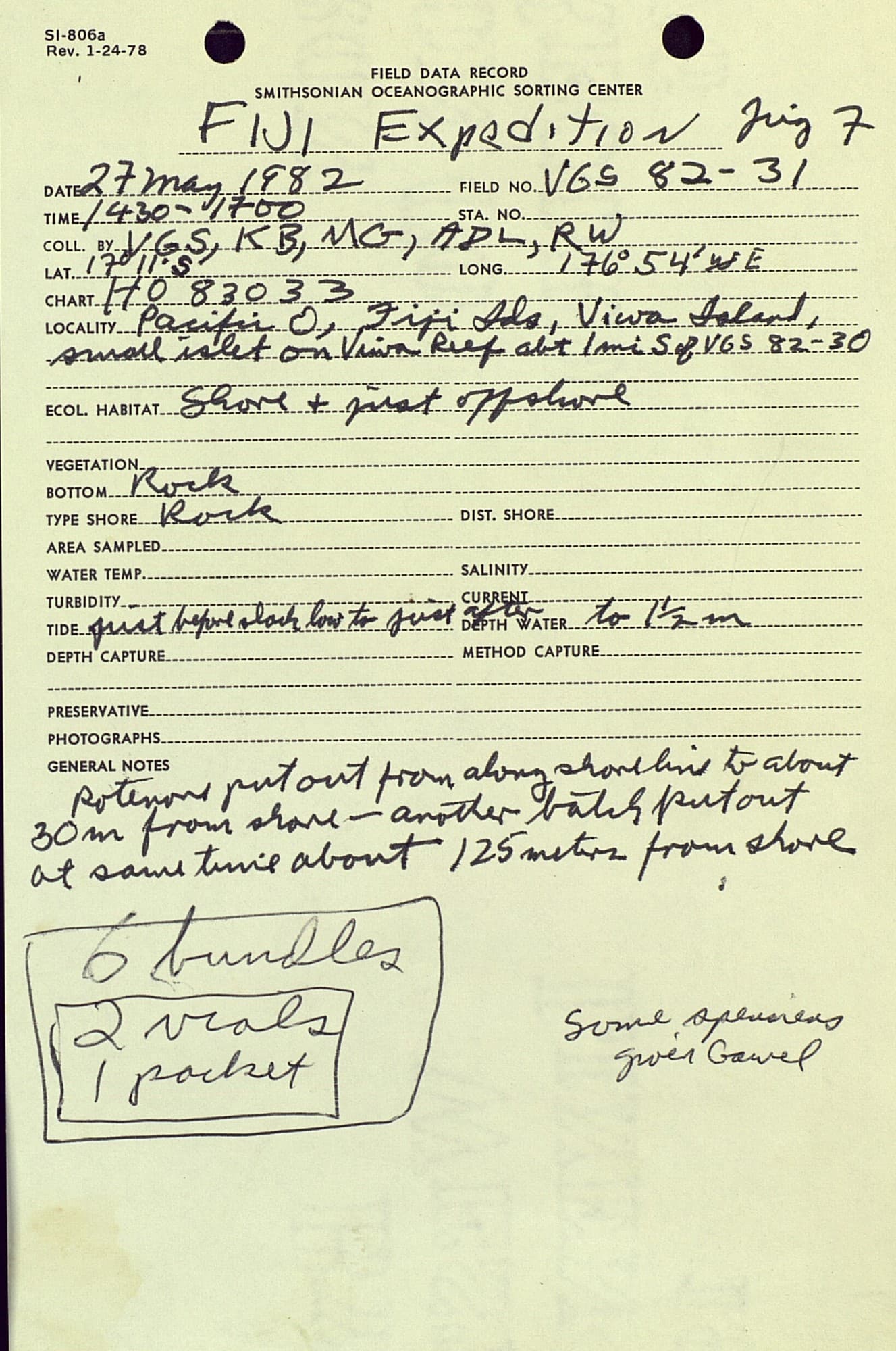 Melanurus Dottyback in a marine aquarium