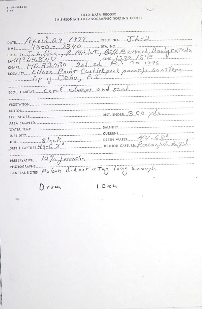 Neon Pygmy Goby in a marine aquarium