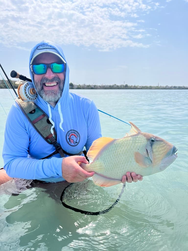 Titan Trigger in a marine aquarium